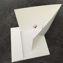 CARTES DE SOUHAITS - Bloom